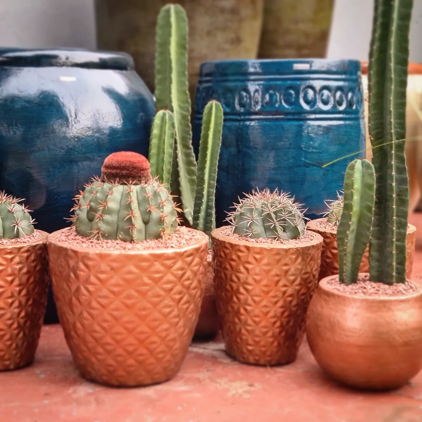 Vaso Pandora VasosDecor